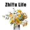 ZhiYuLife