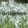 Star of Bethlehem