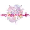 language of Flowers