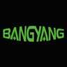 Bangyang Optoelectronics