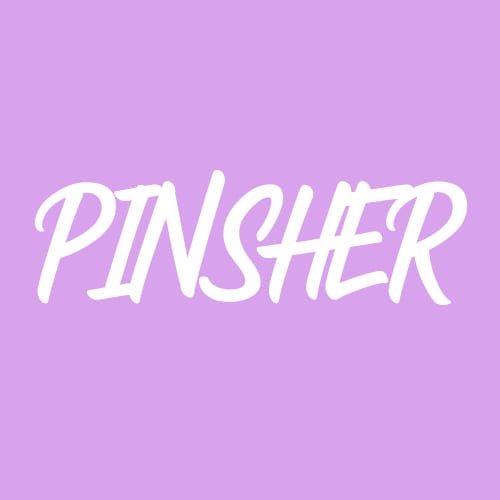 Pinsher