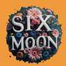 Six Moon's  Handbag