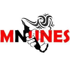 MNUNES DISTRIBUIÇÃO