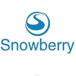 Snowberry Bridal Accessories Boutique