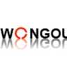 IWONGOU STORE