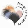 fur-ever-memory