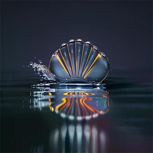 SHELL ACCESSORY