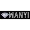 WANYI Piercing Jewelry