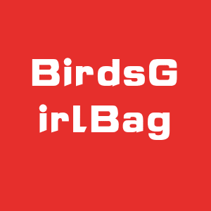 BirdsGirlBag
