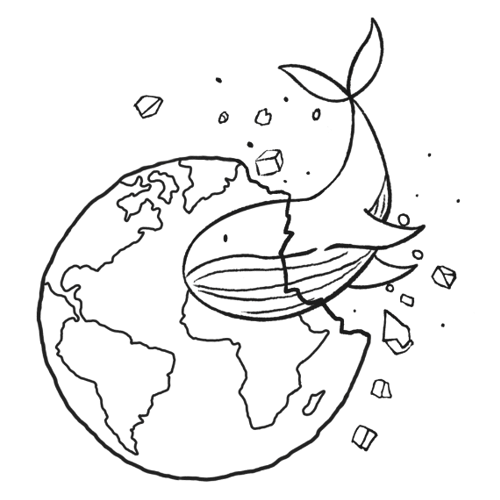 PaperWhale Gift Shop