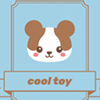 COOL TOY