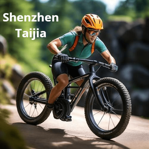 Shenzhen Taijia