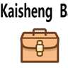 Kaishengbags