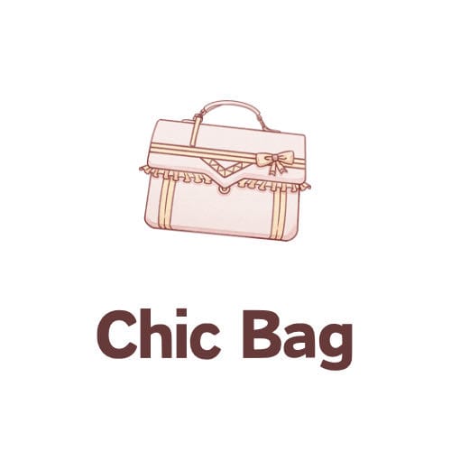 Chic Bag