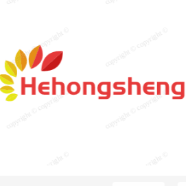 Shenzhen Hehongsheng Technology Co Ltd