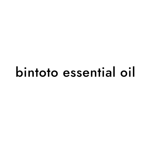 bintoto