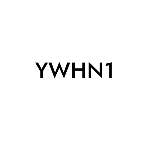 YWHN1