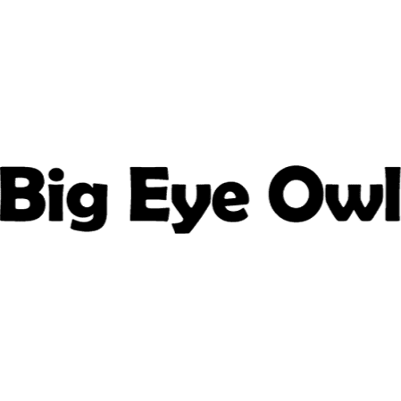 Big Eye Owl