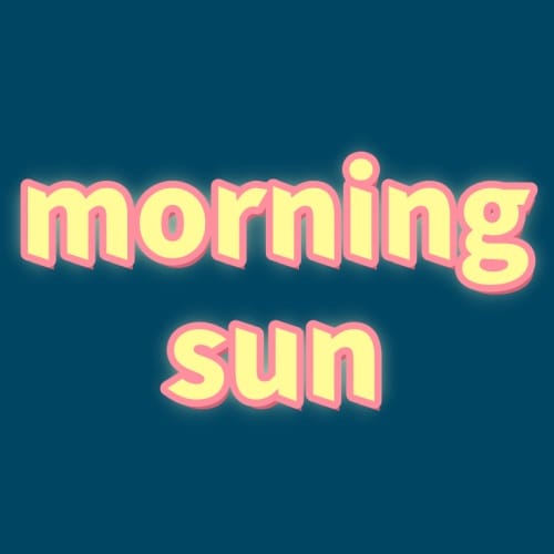 morning sun toys