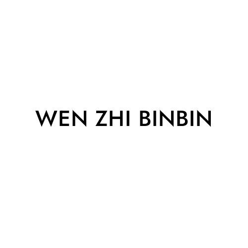 WEN ZHI BINBIN