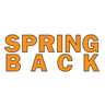 SpringBack Appliance