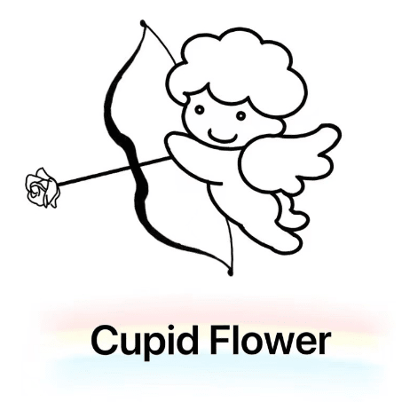 CupidFlower