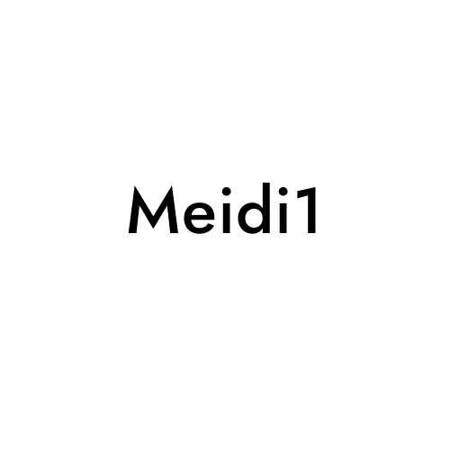 Meidi1