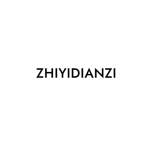 ZHIYIDIANZI