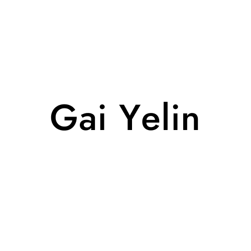 Gai Yelin