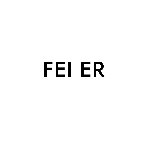 FEI ER