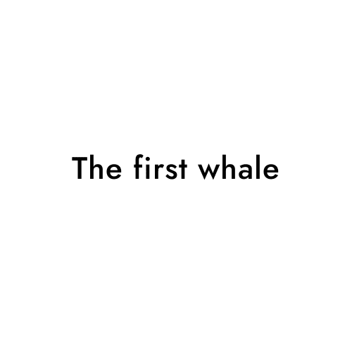 The first whale