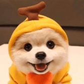 weiwangwang