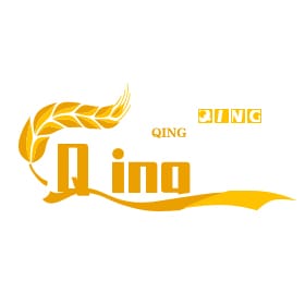 Qingni Fashion