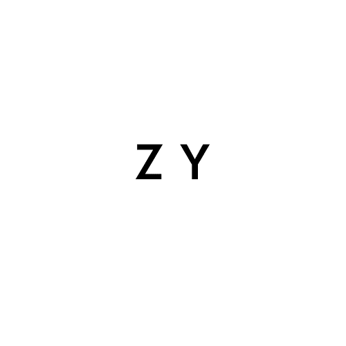 Z Y