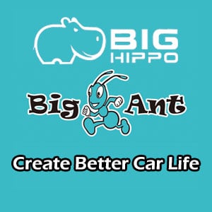BIG ANT AND BIG HIPPO