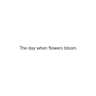 The day when flowers bloom