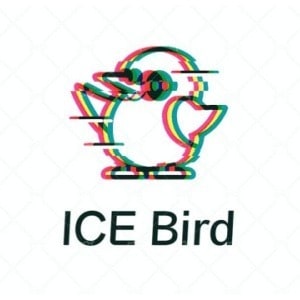 ICE Bird