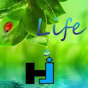 HJ Fishing