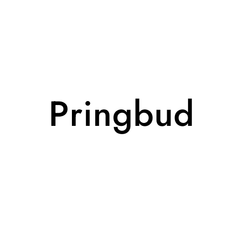 Pringbud