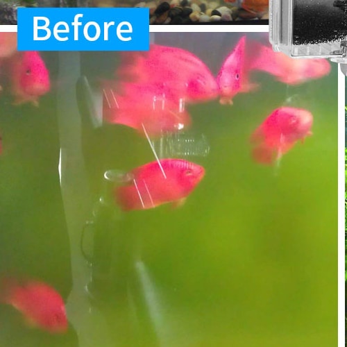 Pet Fish Products Store