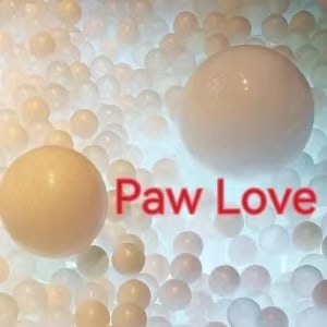 Paw Love