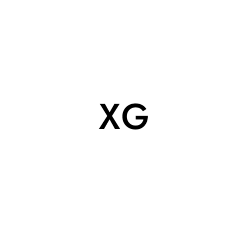 XGFZ