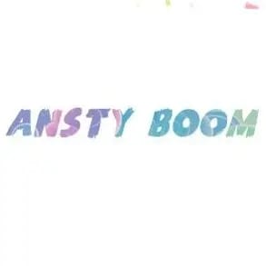 ANSTY BOOM