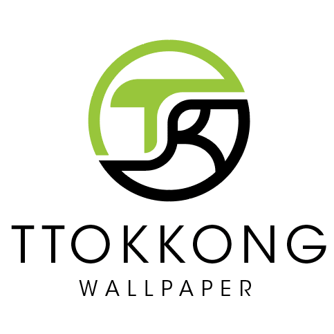 TTOKKONG