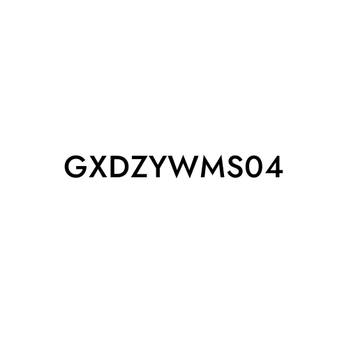 GXDZYWMS04