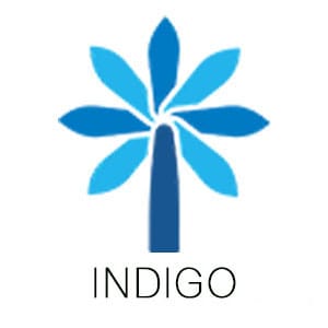 INDIGO LOVE LOVE LOVE