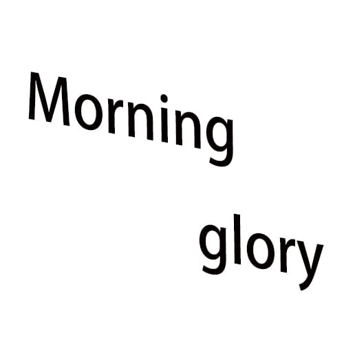 morning glory