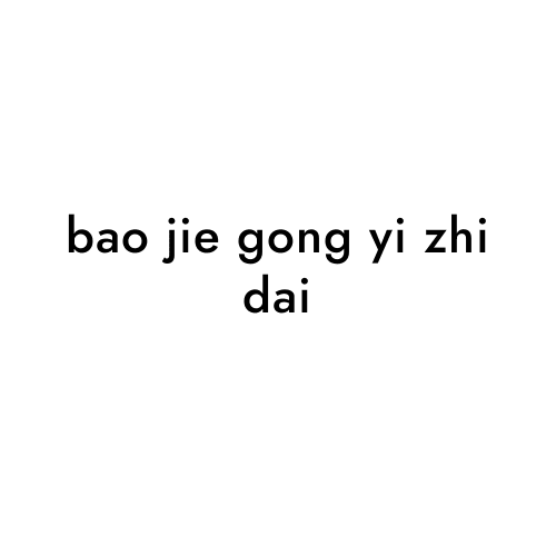 bao jie gong yi zhi dai