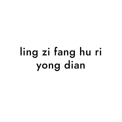 ling zi fang hu ri yong dian