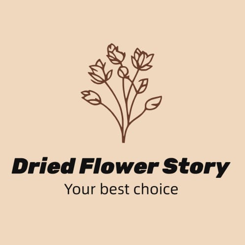Dried Flower Story
